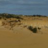 Australia_Pinnacles_2