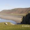 Rhosilli
